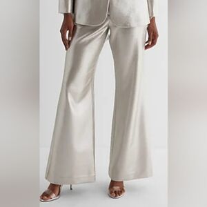 NWT Express Metallic Champagne Pants